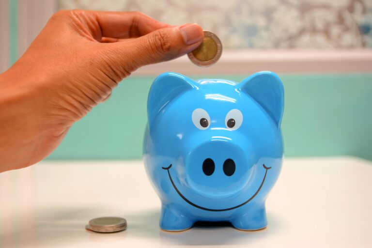 Financial Goals Piggy Bank